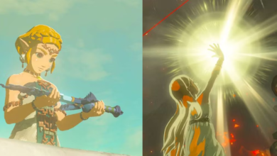 Tears Of The Kingdom